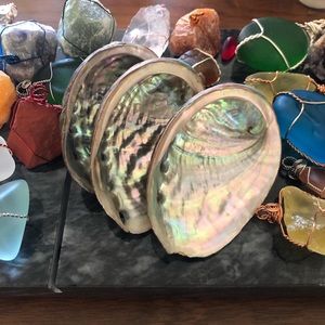 Abalone Shells🐚
